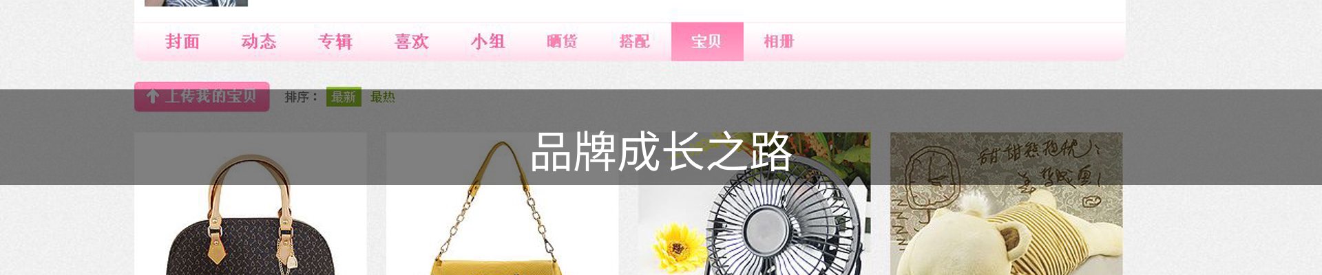 品牌成长之路